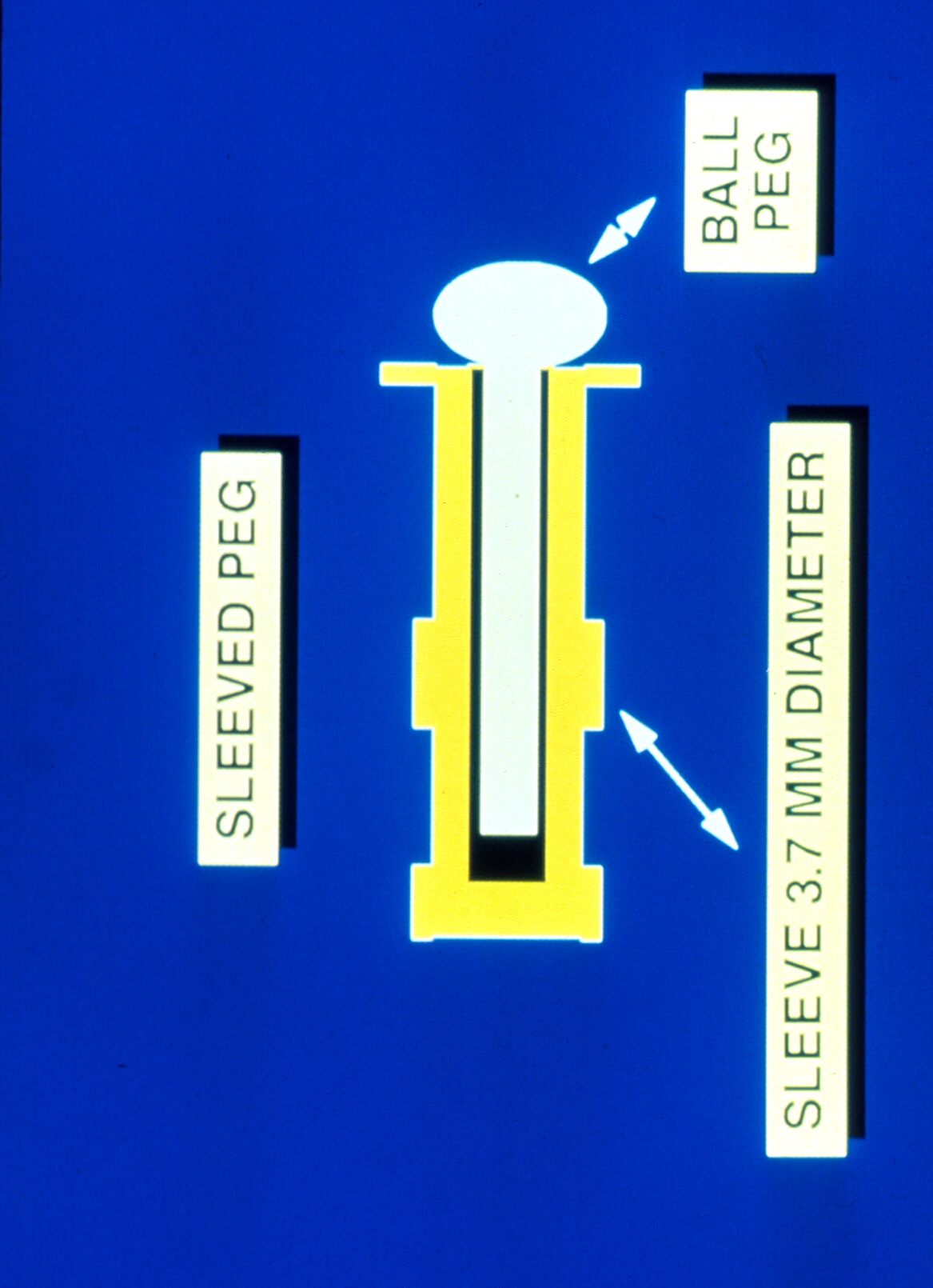 ENUCLEATION (5)